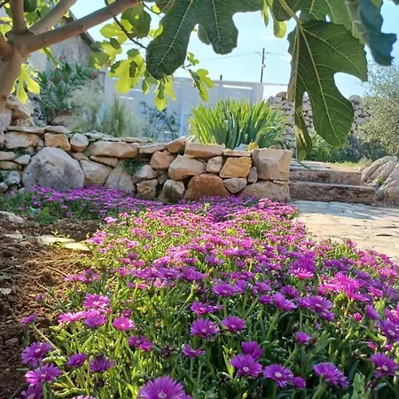 Stone House Knezevic Holiday home Vinjerac