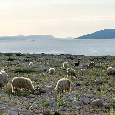 Stone House Knezevic * Vinjerac