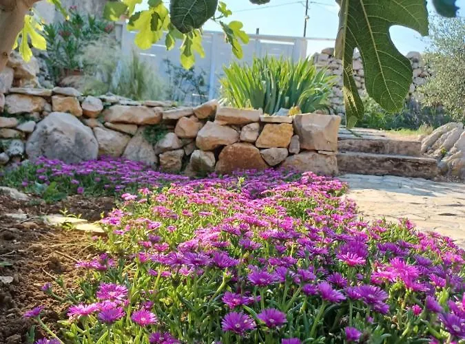 Stone House Knezevic Vakantiehuis Vinjerac