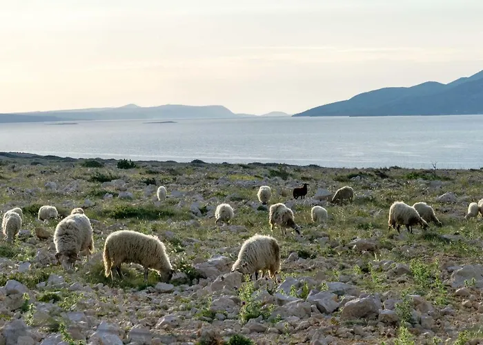 Stone House Knezevic * Vinjerac